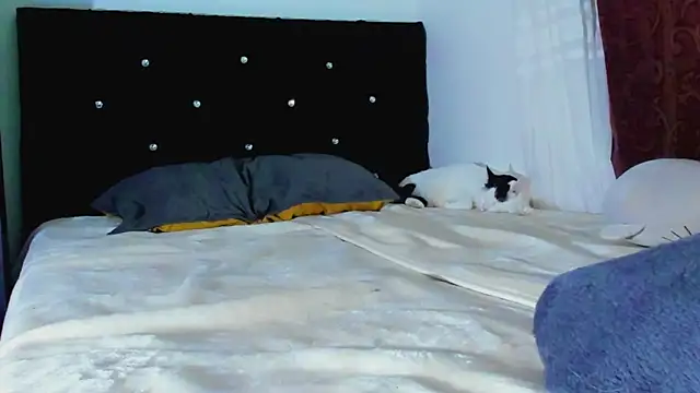 LorenRosse webcam