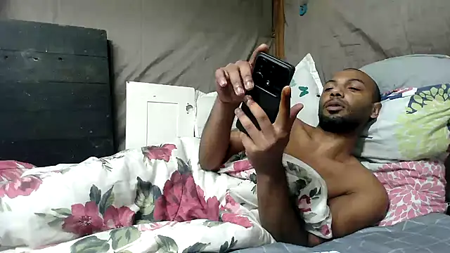 Camodick webcam
