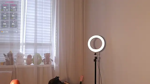 aiyumiprivate webcam