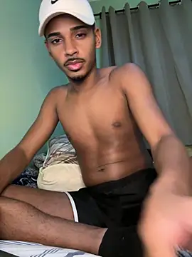 pretin19cm1 webcam