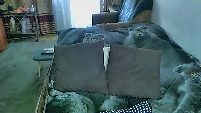 sex2 webcam