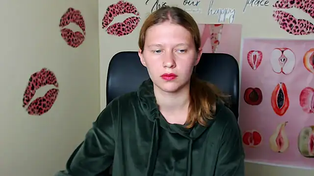 StellaCRL webcam