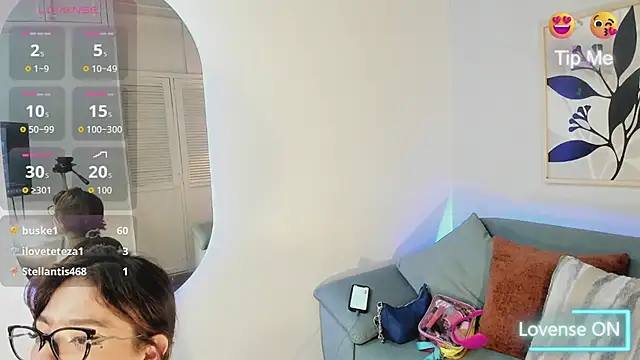KassMonroe webcam