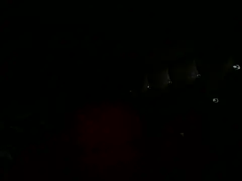 GizliTurkTravesti_CD webcam