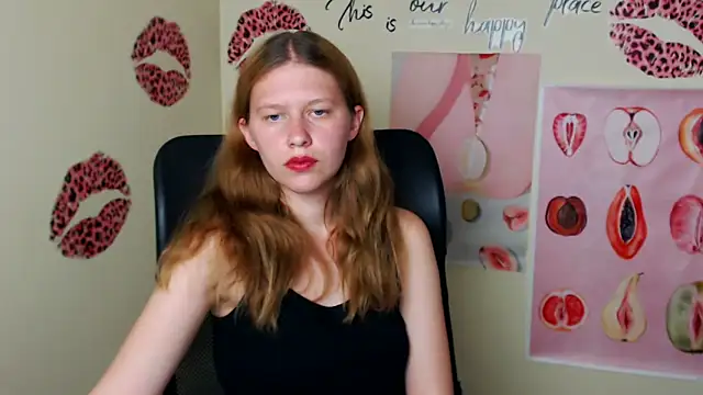 StellaCRL webcam
