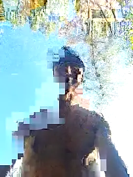 Andypie6 webcam