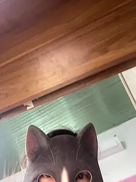 Mimi-9999