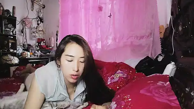hebe-02 webcam