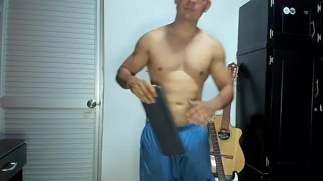 VincentSavage webcam