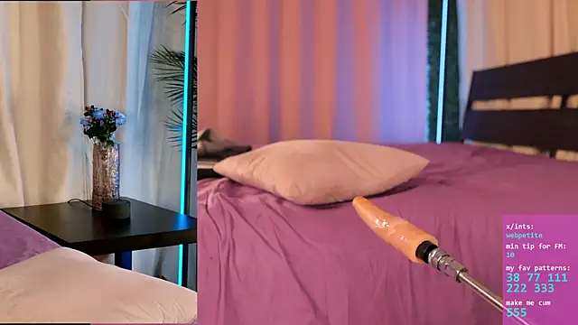 webpetite