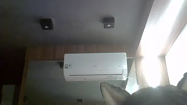 SkinnyKitten live cam
