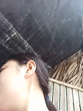 __Halen__ webcam