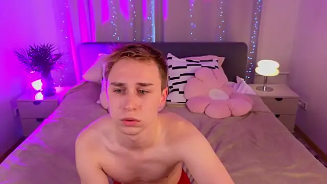 e1v1s webcam