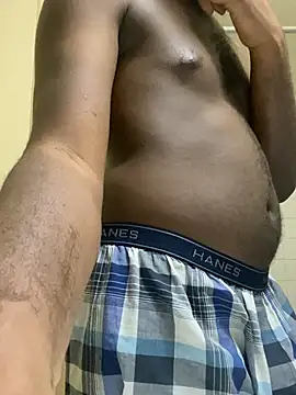 ThickDic28 webcam