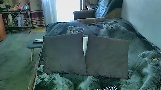 sex2 webcam
