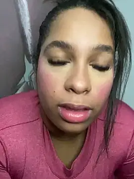NV-Nikoll webcam