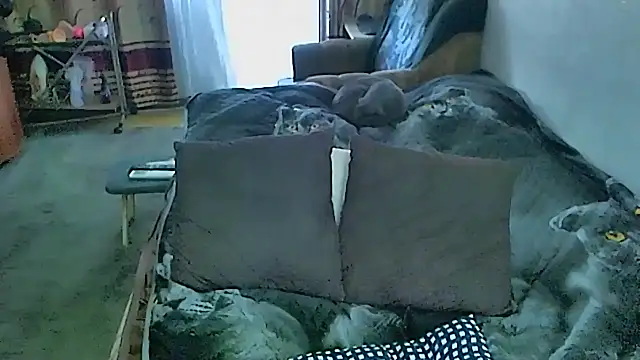 sex2 webcam
