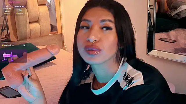 MeelFox webcam