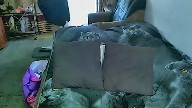 sex2 webcam