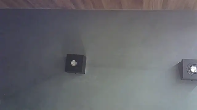 SkinnyKitten webcam