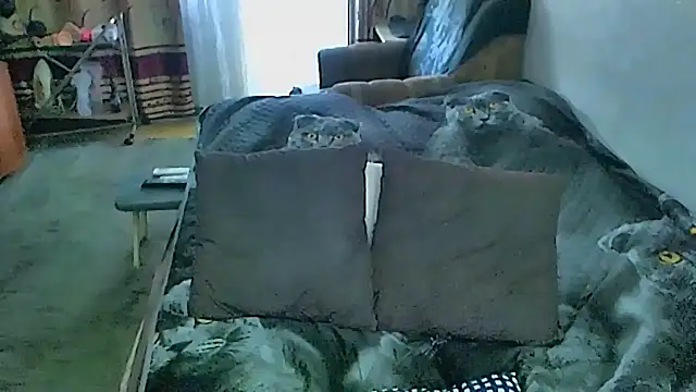 sex2 webcam