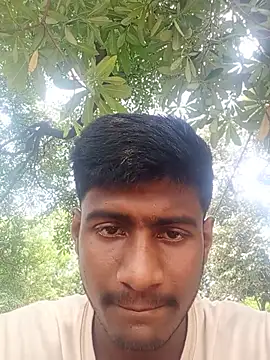 bholaarm webcam