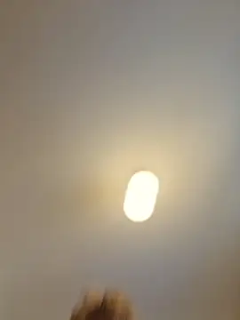 elacoquette
