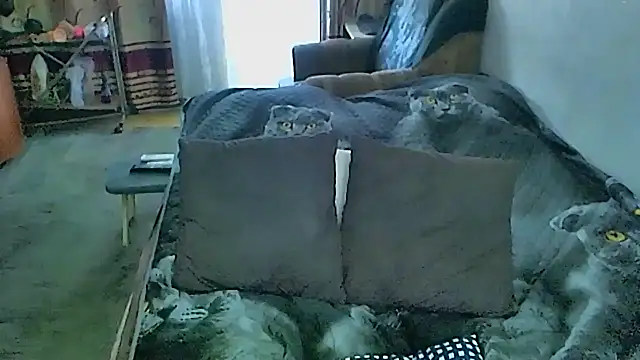sex2 webcam
