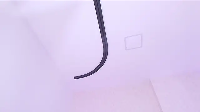 _carolina_fox webcam