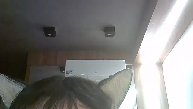 SkinnyKitten webcam