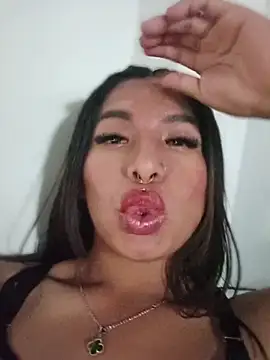 MeelFox webcam