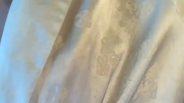 Vanillezucker webcam