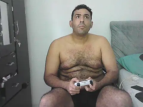IronSideBear live cam