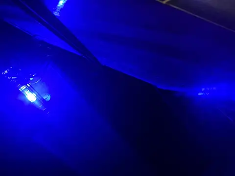 trash4cash live cam