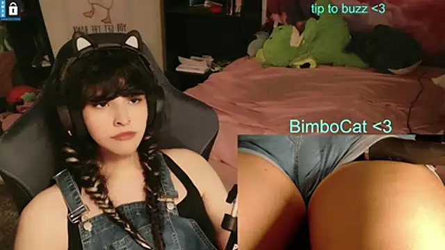 BimboCat webcam