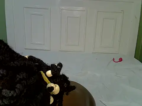 stephyhot round booty adult cam