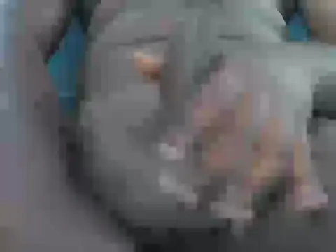 Tamil_mallu_love webcam