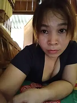 Biva11 webcam