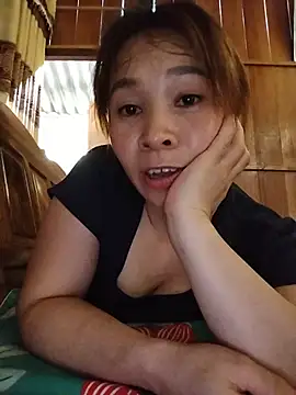 Biva11 webcam