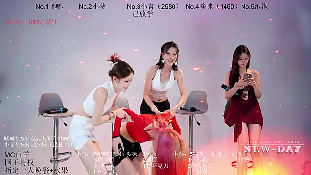 NEW-DAY webcam