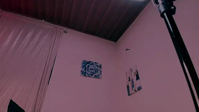 Candle__lz webcam