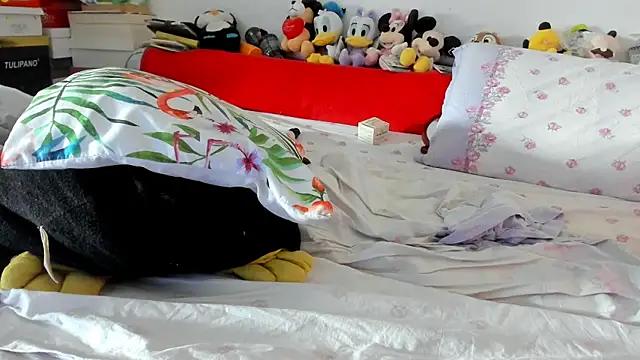 BIGtitsANA webcam