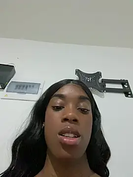 Lysii webcam