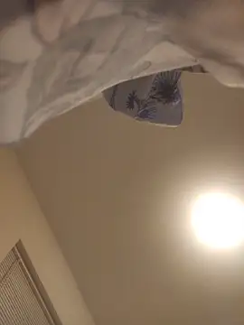 habibiforyou81 webcam