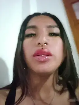 MeelFox webcam