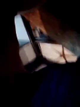 felopayl webcam