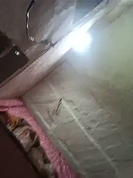 Deepjakolirr webcam