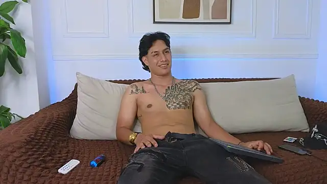 Stone_grey1_ webcam