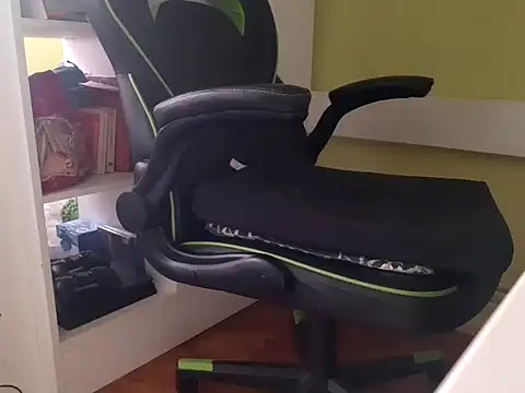 feathersify webcam