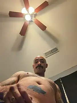 wesstfine webcam